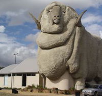 Big Merino - New South Wales Tourism 