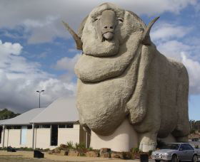 Big Merino - New South Wales Tourism  0