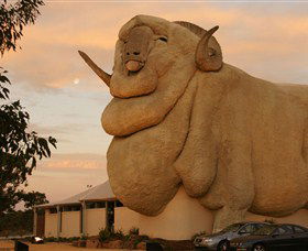 Big Merino - New South Wales Tourism  3