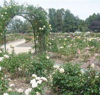 Victoria Park Rose Garden - New South Wales Tourism 