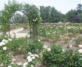 Victoria Park Rose Garden - New South Wales Tourism  0