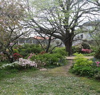 Hamilton Spa - New South Wales Tourism 