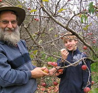 Pine Crest Orchard - New South Wales Tourism 