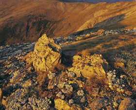 Kosciuszko National Park - Charlottes Pass To Snowy River - New South Wales Tourism  1