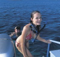 Seal Cove - New South Wales Tourism 