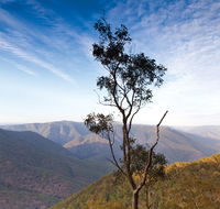 Salisbury Waters walking track - New South Wales Tourism 