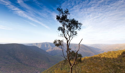 Salisbury Waters Walking Track - New South Wales Tourism  0