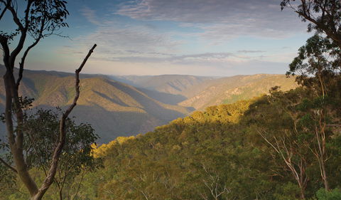 Salisbury Waters Walking Track - New South Wales Tourism  2