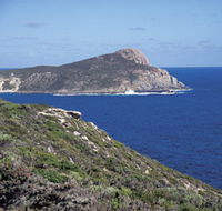 Bald Head Walking Track - New South Wales Tourism 