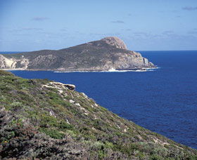 Bald Head Walking Track - New South Wales Tourism  0