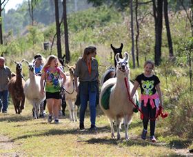 Mount Beppo QLD New South Wales Tourism 