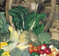 Mulgowie Real Farmers Markets - New South Wales Tourism 