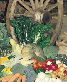 Mulgowie Real Farmers Markets - New South Wales Tourism  0