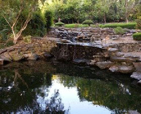 Bundaberg Botanic Gardens And Playground - New South Wales Tourism  1