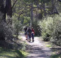Syd's Rapids and Aboriginal Heritage Trail Avon Valley - New South Wales Tourism 