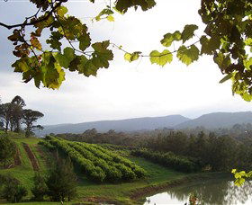 Enniskillen Orchard - New South Wales Tourism  1