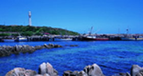 King Island TAS New South Wales Tourism