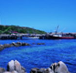 King Island Dairies - New South Wales Tourism 