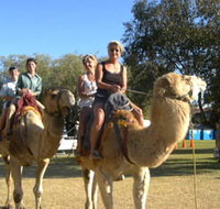 Calamunnda Camel Farm  - New South Wales Tourism 