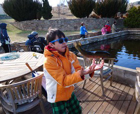 Eucumbene Trout Farm - New South Wales Tourism  2