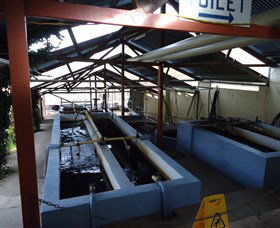 Eucumbene Trout Farm - New South Wales Tourism  5