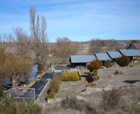 Eucumbene Trout Farm - New South Wales Tourism  6