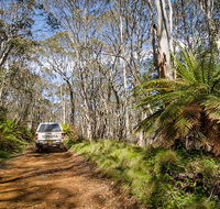 Barrington trail - New South Wales Tourism 
