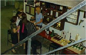 John Kosovich Wines - New South Wales Tourism  1