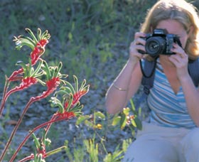 Kalamunda National Park - New South Wales Tourism  1