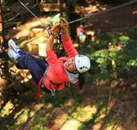 Trees Adventure Grose River Park - New South Wales Tourism 