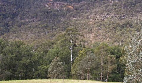 Bangadilly National Park - New South Wales Tourism  0