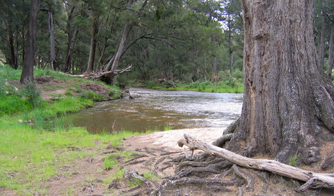 Bangadilly National Park - New South Wales Tourism  3