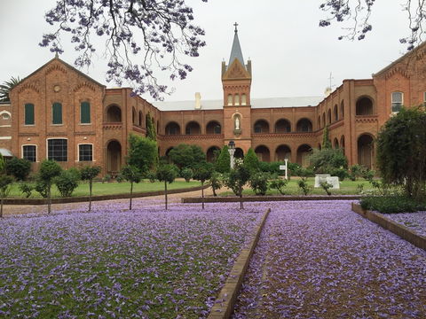 Sacred Spaces At The Sisters Of Mercy Convent - New South Wales Tourism  12