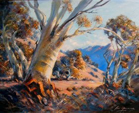 Kunama Snowy Mountains Centre For The Arts - New South Wales Tourism  0