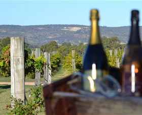 Ugly Duckling Wines - New South Wales Tourism  1
