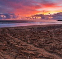 Mon Repos Beach - New South Wales Tourism 