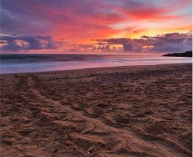 Mon Repos Beach - New South Wales Tourism  0