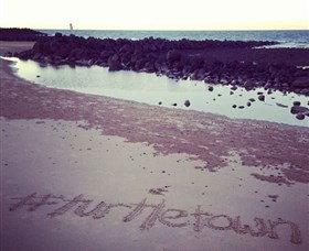 Mon Repos Beach - New South Wales Tourism  1