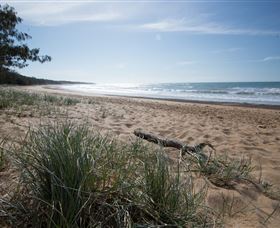Mon Repos Beach - New South Wales Tourism  2