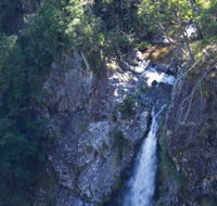 Lyrebird Falls walking track - New South Wales Tourism 