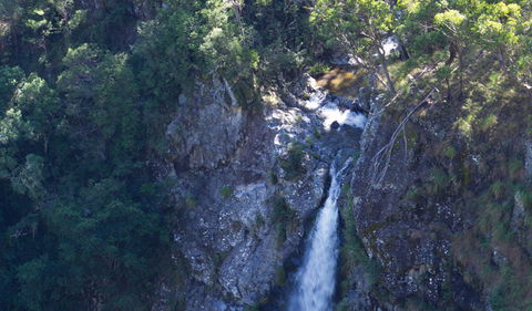 Lyrebird Falls Walking Track - New South Wales Tourism  0