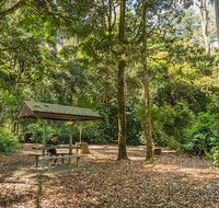 Tooloom National Park - New South Wales Tourism 
