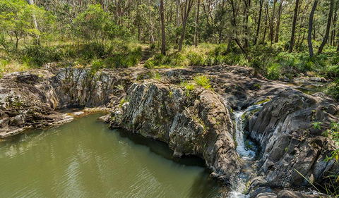 Gorge Walking Track - New South Wales Tourism  1