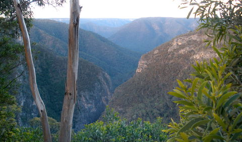 Bungonia National Park - New South Wales Tourism  1