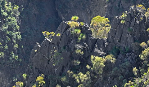 Bungonia National Park - New South Wales Tourism  2