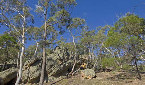 Bungonia National Park - New South Wales Tourism  3