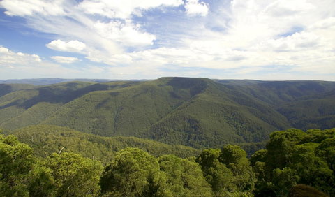 Barrington Tops National Park - New South Wales Tourism  0
