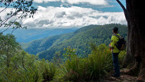 Barrington Tops National Park - New South Wales Tourism  3