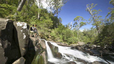 Barrington Tops National Park - New South Wales Tourism  2