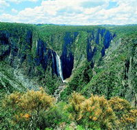 Wollomombi Falls - New South Wales Tourism 